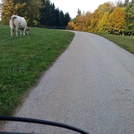 Feriehus Maison Independ. 6 Personnes A 10 Mn De Gerardmer *