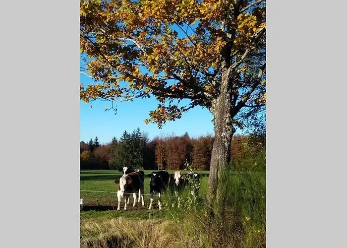 Maison Independ. 6 Personnes A 10 Mn De Gerardmer *
