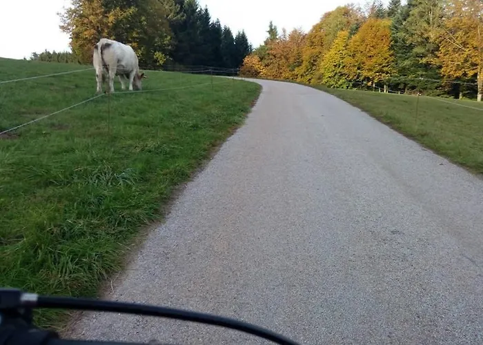 度假居 Maison Independ. 6 Personnes A 10 Mn De Gerardmer *