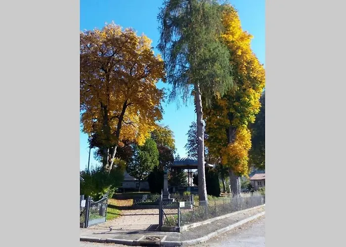 Maison Independ. 6 Personnes A 10 Mn De Gerardmer